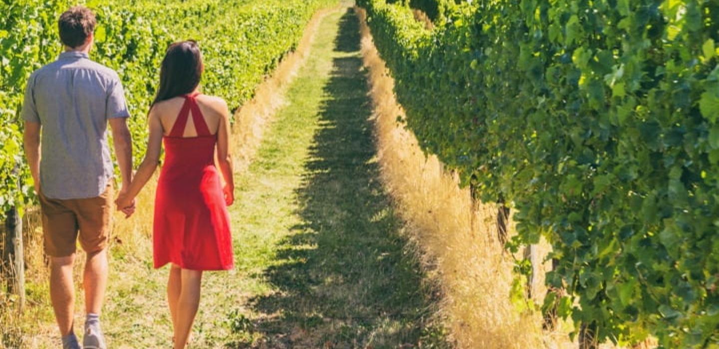 man, woman, vineyard